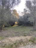 Photo numero 46752934 du bien UBI464226635